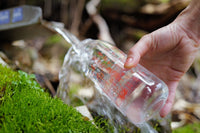 ［ランドネ×高山植物図鑑×KINTO］mountainflower vase 花図鑑のウォーターボトル