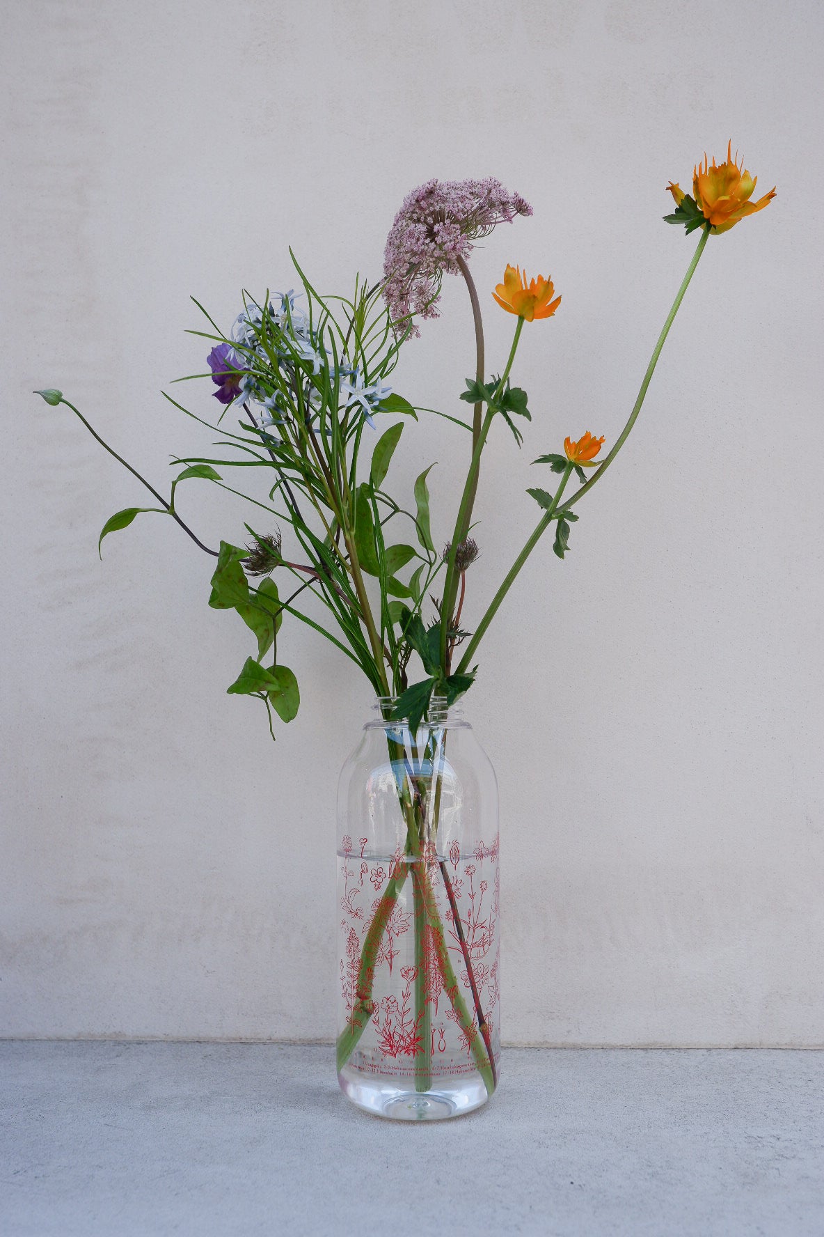 ランドネ×高山植物図鑑×KINTO］mountainflower vase 花図鑑の