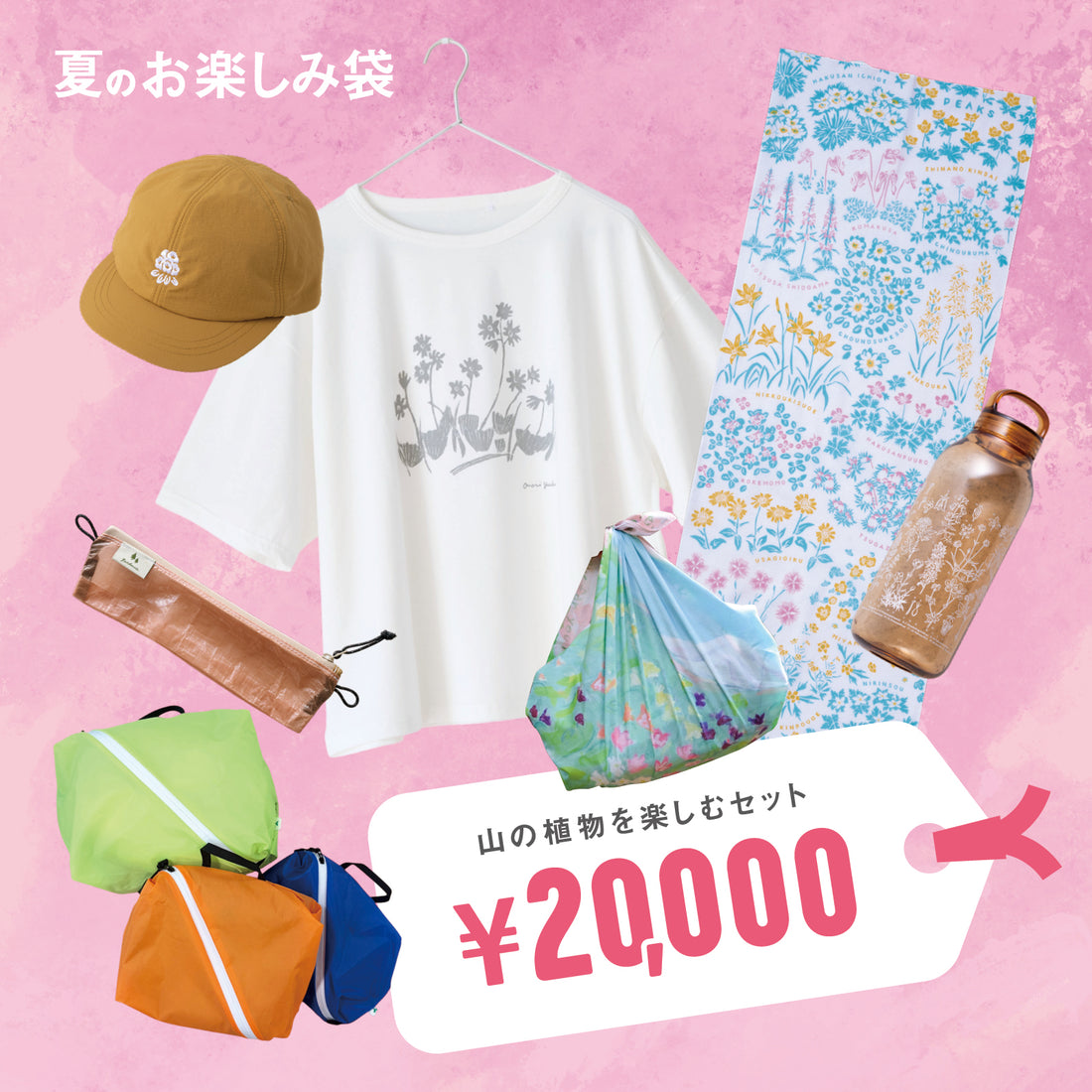 山の植物を楽しむセット