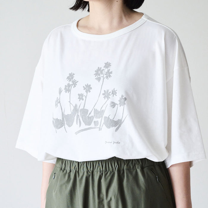 山の植物を楽しむセット