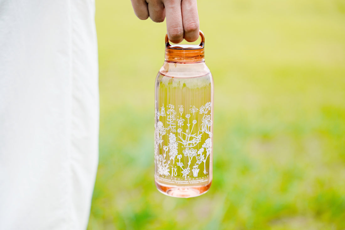 ［ランドネ×高山植物図鑑×KINTO］mountainflower vase 花図鑑のウォーターボトル