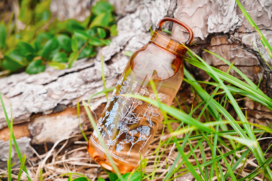 ［ランドネ×高山植物図鑑×KINTO］mountainflower vase 花図鑑のウォーターボトル