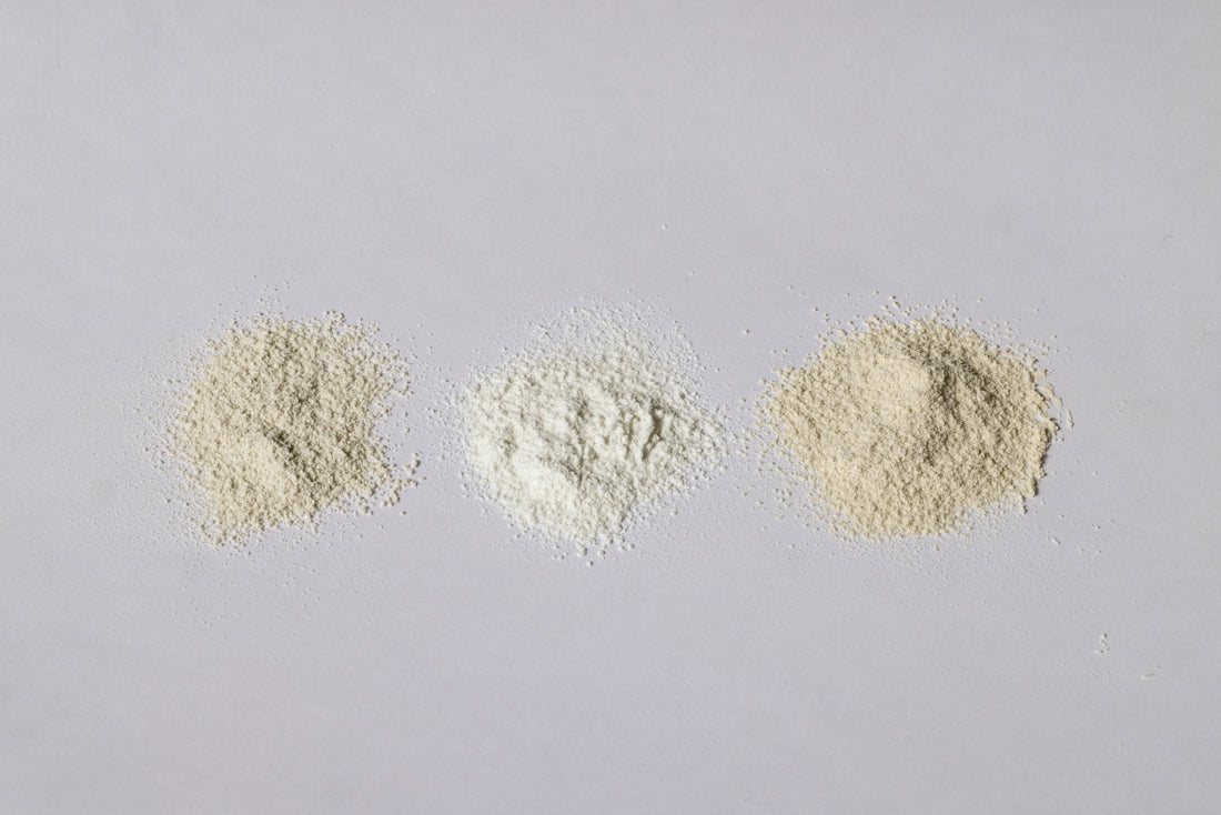 【ランドネ】山の恵みが生まれる場所へ。セリサイト採掘場と白山の祈りをたずねて