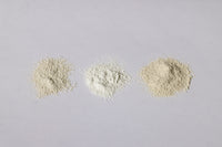 【ランドネ】山の恵みが生まれる場所へ。セリサイト採掘場と白山の祈りをたずねて