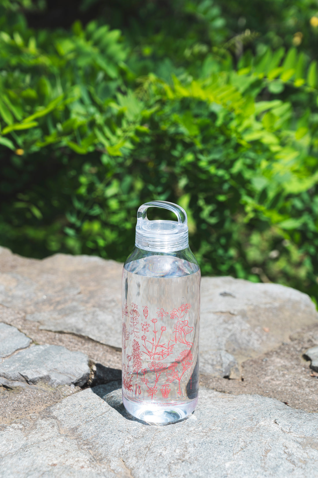 ［ランドネ×高山植物図鑑×KINTO］mountainflower vase 花図鑑のウォーターボトル