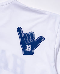 AMPHIBIOUS S/S（HAWAII STATE）