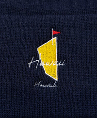 SVKA5026［サルベージパブリックコレパ］ニットビーニー（DH MASTERS）