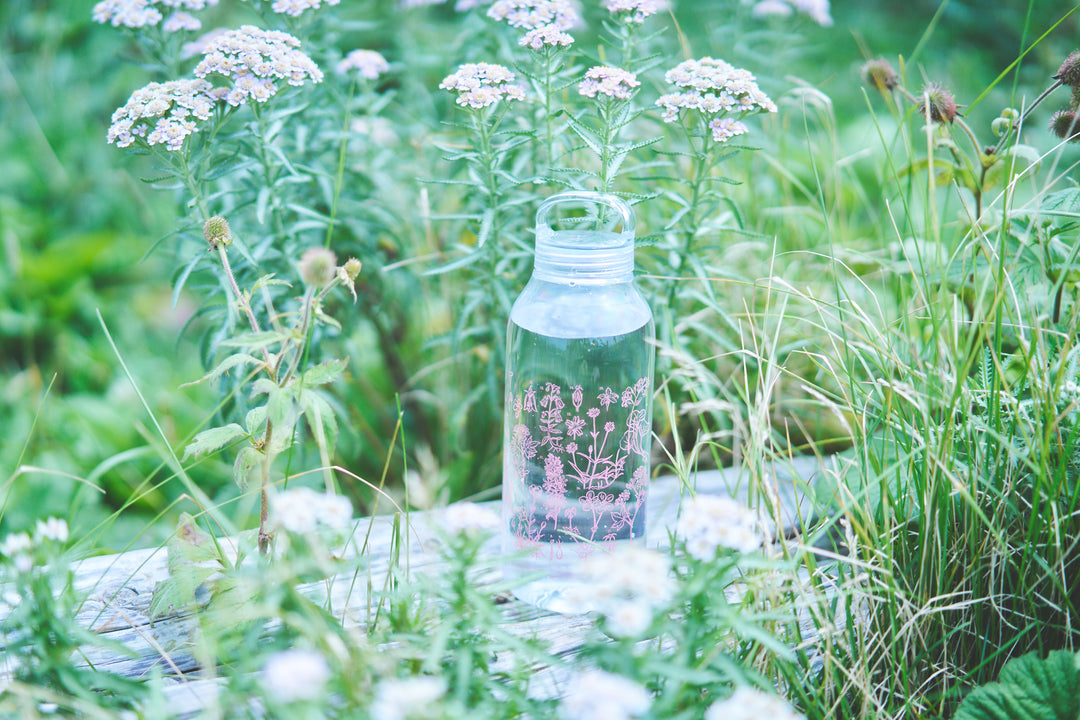 ［ランドネ×高山植物図鑑×KINTO］mountainflower vase 花図鑑のウォーターボトル