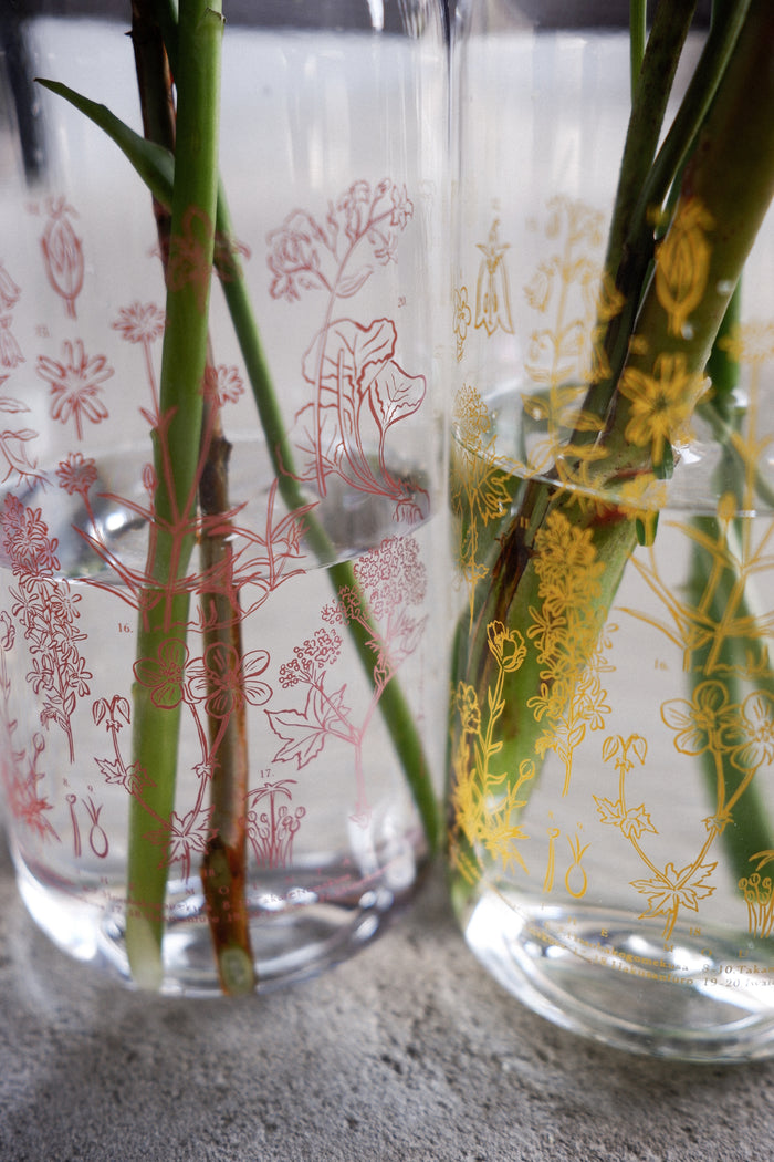 ［ランドネ×高山植物図鑑×KINTO］mountainflower vase 花図鑑のウォーターボトル