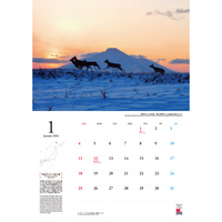 2026国立公園カレンダー ～環境省レンジャーがとらえた日本の国立公園～