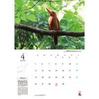 2026国立公園カレンダー ～環境省レンジャーがとらえた日本の国立公園～