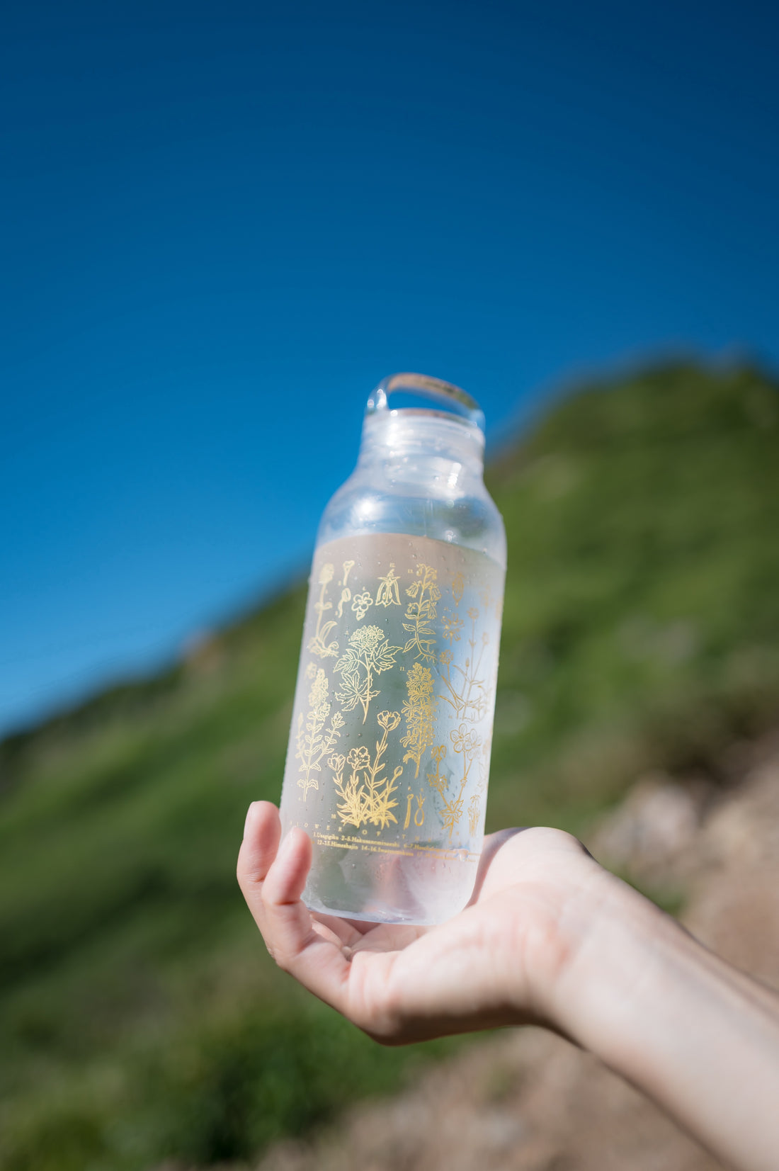 ［ランドネ×高山植物図鑑×KINTO］mountainflower vase 花図鑑のウォーターボトル