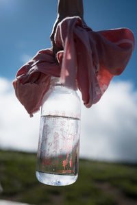 ［ランドネ×高山植物図鑑×KINTO］mountainflower vase 花図鑑のウォーターボトル