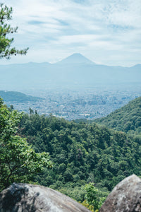 ［かわり芽×神山奈緒子］山のバンダナ　あわいの森