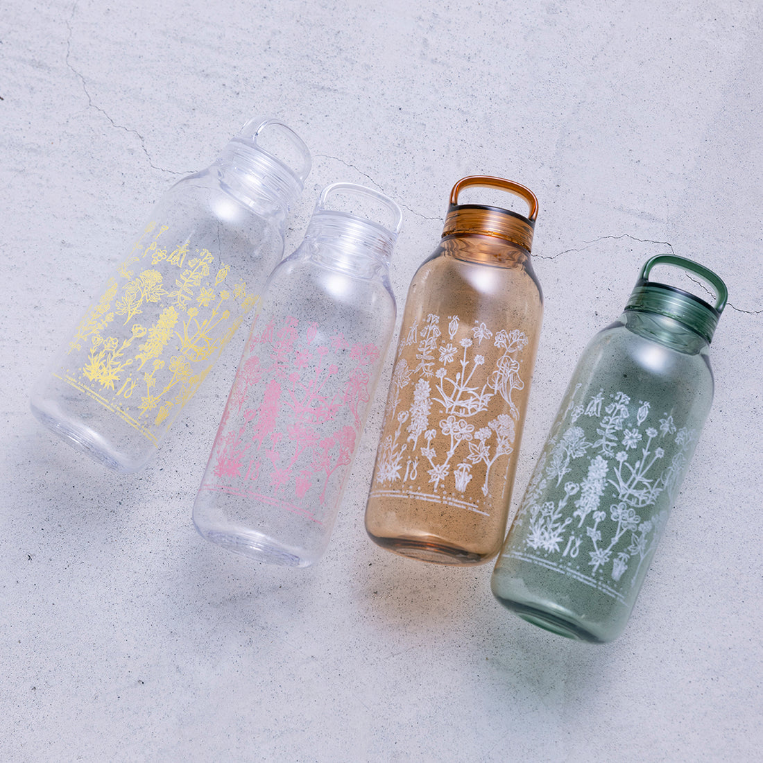 山の植物を楽しむセット