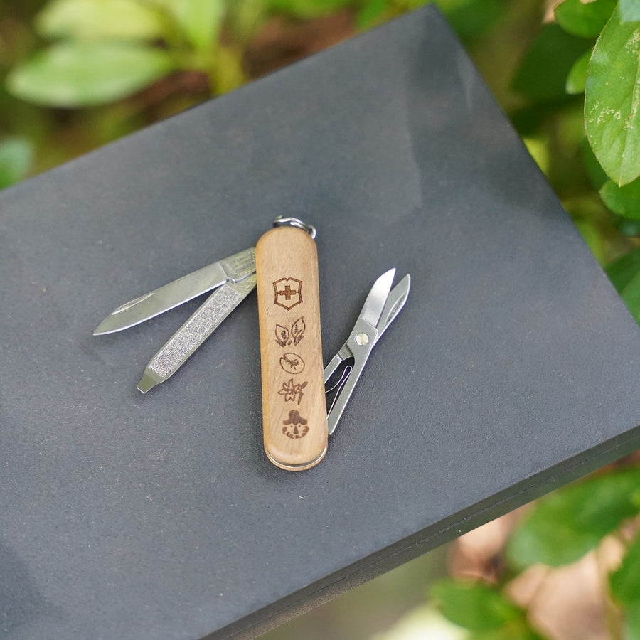 ［ランドネ×ビクトリノックス］尾瀬を感じるミニマルチツール