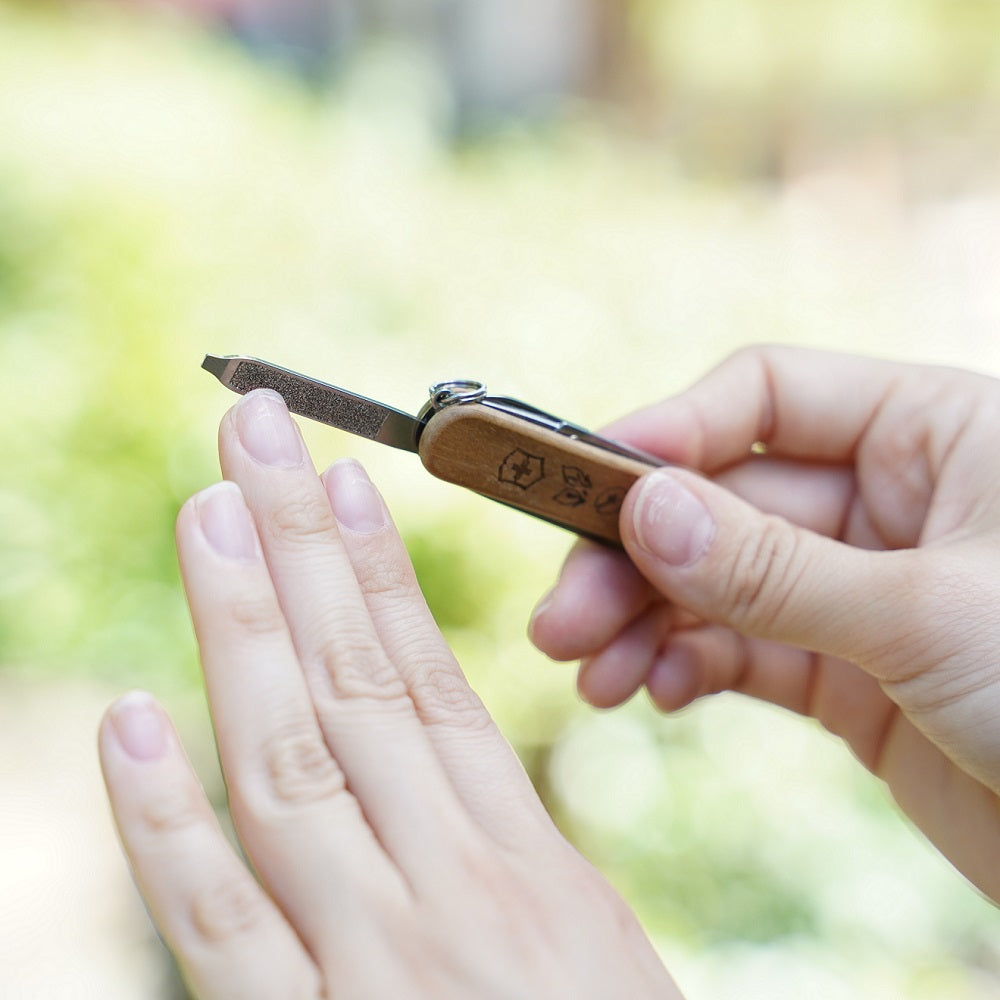 ［ランドネ×ビクトリノックス］尾瀬を感じるミニマルチツール
