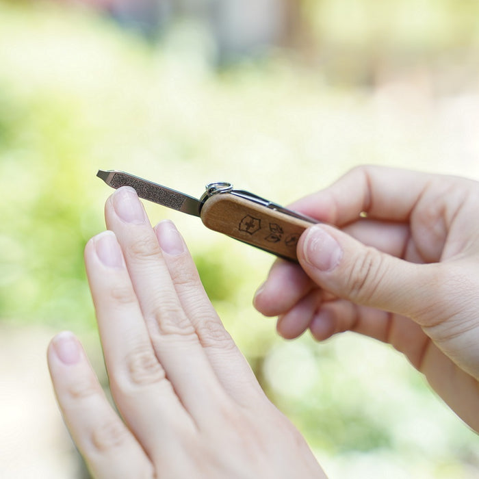 ［ランドネ×ビクトリノックス］尾瀬を感じるミニマルチツール