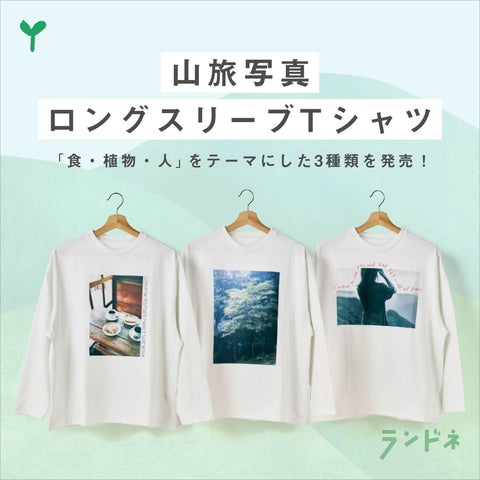 スライド画像