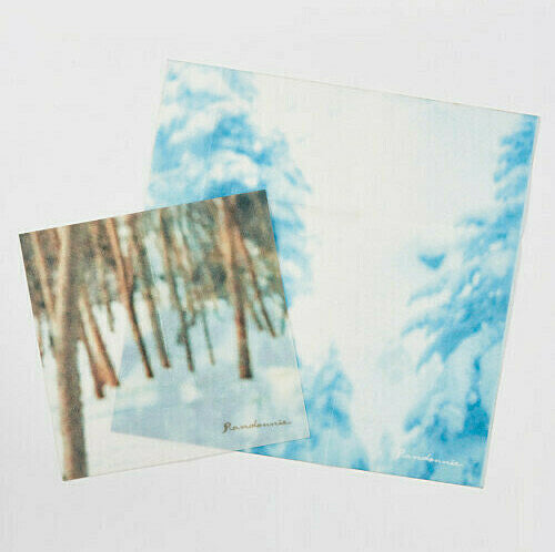 ランドネ×マウンテンコレクター　冬山を感じるエコラップ