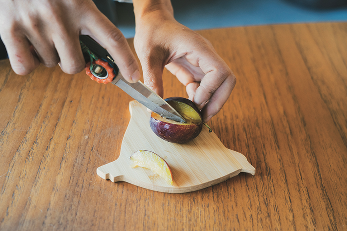 ランドネ×mauve「木の雷鳥コースター」